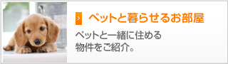 ペットと暮らせるお部屋